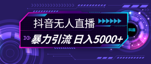 （11709期）抖音无人直播，暴利引流，日入5000+-大象聊项目