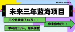 （11716期）未来三年，蓝海赛道，月入3万+-大象聊项目