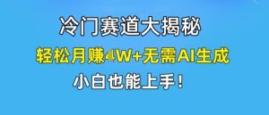 冷门赛道大揭秘，轻松月赚1W+无需AI生成，小白也能上手【揭秘】-大象聊项目
