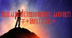 如何从做项目变成卖项目，从月收入几千到月入几万【揭秘】-大象聊项目