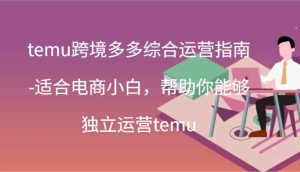 temu跨境多多综合运营指南-适合电商小白,帮助你能够独立运营temu(44节)-大象聊项目