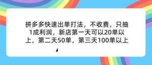（11681期）拼多多2天起店，只合作不卖课不收费，上架产品无偿对接，只需要你回…-大象聊项目