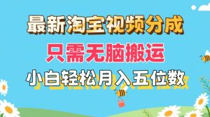 （11744期）最新淘宝视频分成，只需无脑搬运，小白也能轻松月入五位数，可矩阵批量…-大象聊项目