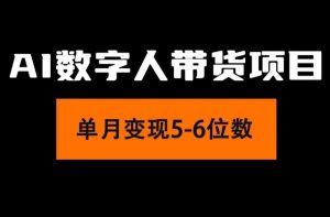 （11751期）2024年Ai数字人带货，小白就可以轻松上手，真正实现月入过万的项目-大象聊项目