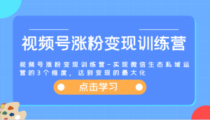 视频号涨粉变现训练营-实现微信生态私域运营的3个维度，达到变现的最大化-大象聊项目