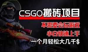 CSGO 装备搬砖项目，操作简单，不需要会玩游戏，小白也能快速上手，一个月轻松大几千【揭秘】-大象聊项目