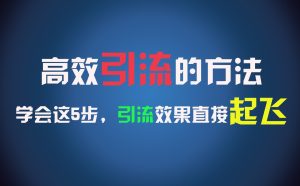 高效引流的方法，可以帮助你日引300+创业粉，一年轻松收入30万，比打工强太多！-大象聊项目