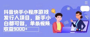 抖音快手小程序游戏发行人项目，新手小白都可做，单条视频收益9000+-大象聊项目