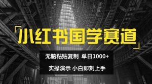 小红书国学赛道,无脑粘贴复制,单日1K,实操演示,小白即刻上手【揭秘】-大象聊项目