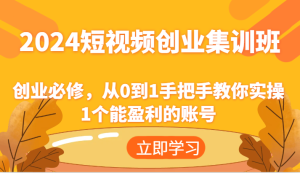 2024短视频创业集训班:创业必修,从0到1手把手教你实操1个能盈利的账号-大象聊项目