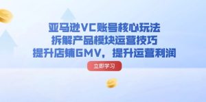 （11848期）亚马逊VC账号核心玩法，拆解产品模块运营技巧，提升店铺GMV，提升运营利润-大象聊项目