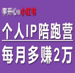 小红书个人IP陪跑营，60天拥有自动转化成交的双渠道个人IP，每月多赚2w-大象聊项目