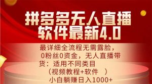 (11891期)拼多多无人直播软件最新4.0,最详细全流程无需露脸,0粉丝0资金, 小白…-大象聊项目