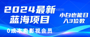 （11894期）2024最新蓝海项目，0成本卖影视会员，小白也能日入3位数-大象聊项目