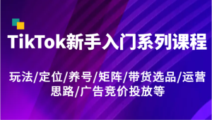 TikTok新手入门系列课程，玩法/定位/养号/矩阵/带货选品/运营思路/广告竞价投放等-大象聊项目