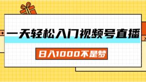 （11906期）一天入门视频号直播带货，日入1000不是梦-大象聊项目