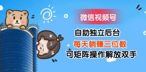 （11910期）微信视频号自助独立后台每天躺赚三位数可矩阵操作解放双手-大象聊项目