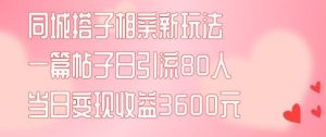 同城搭子相亲新玩法一篇帖子引流80人当日变现3600元(项目教程+实操教程)【揭秘】-大象聊项目