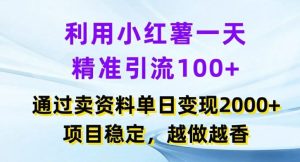 利用小红书一天精准引流100+，通过卖项目单日变现2k+，项目稳定，越做越香【揭秘】-大象聊项目