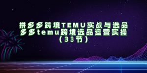 （11934期）拼多多跨境TEMU实战与选品，多多temu跨境选品运营实操（33节）-大象聊项目