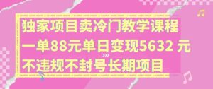 独家项目卖冷门教学课程一单88元单日变现5632元违规不封号长期项目【揭秘】-大象聊项目
