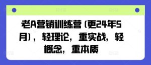 老A营销训练营(更24年7月),轻理论,重实战,轻概念,重本质-大象聊项目