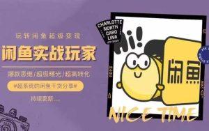 从0到1系统玩转闲鱼变现，教你核心选品思维，提升产品曝光及转化率-大象聊项目