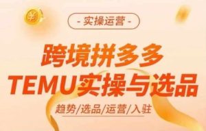 跨境拼多多TEMU实操与选品，多多temu跨境选品运营实操-大象聊项目