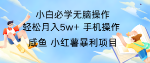 全网首发2024最暴利手机操作项目，简单无脑操作，每单利润最少500+-大象聊项目
