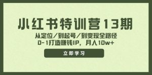 小红书特训营13期，从定位/到起号/到变现全路径，0-1打造赚钱IP，月入10w+-大象聊项目