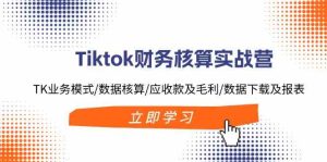 Tiktok财务核算实战营：TK业务模式/数据核算/应收款及毛利/数据下载及报表-大象聊项目