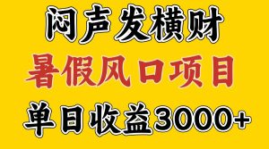 30天赚了7.5W 暑假风口项目，比较好学，2天左右上手-大象聊项目