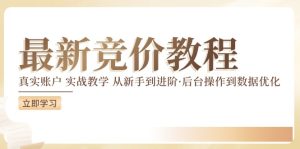 最新真实账户实战竞价教学，从新手到进阶，从后台操作到数据优化-大象聊项目
