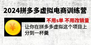 （12024期）2024拼多多虚拟电商训练营 不s单 不改销量  做虚拟项目分一杯羹(更新10节)-大象聊项目