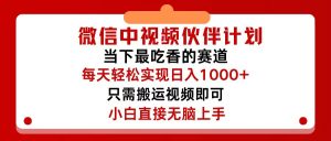 （12017期）微信中视频伙伴计划，仅靠搬运就能轻松实现日入500+，关键操作还简单，…-大象聊项目