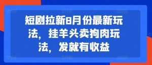 短剧拉新8月份最新玩法，挂羊头卖狗肉玩法，发就有收益-大象聊项目