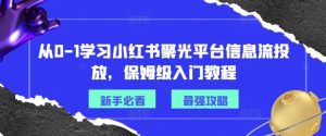 从0-1学习小红书聚光平台信息流投放，保姆级入门教程-大象聊项目