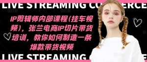 IP剪辑师内部课程(挂车视频),张兰电商IP切片带货培训,教你如何制造一条爆款带货视频-大象聊项目