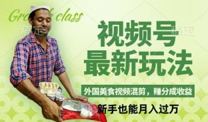 视频号新玩法，外国美食视频混剪，撸分成计划收益，视频制作简单，轻松月入过万【揭秘】-大象聊项目