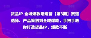 货品IP全域爆款陪跑营【第3期】赛道选择、产品策划到全域爆款，手把手教你打造货品IP，爆款不断-大象聊项目