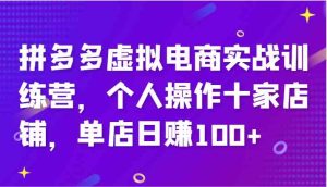 拼多多虚拟电商实战训练营，个人操作十家店铺，单店日赚100+-大象聊项目