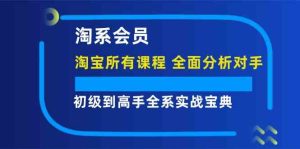 淘系会员初级到高手全系实战宝典【淘宝所有课程，全面分析对手】-大象聊项目