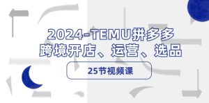 （12106期）2024-TEMU拼多多·跨境开店、运营、选品（25节视频课）-大象聊项目
