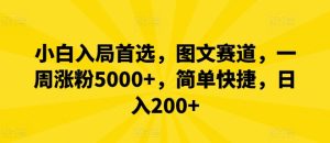 小白入局首选，图文赛道，一周涨粉5000+，简单快捷，日入200+-大象聊项目