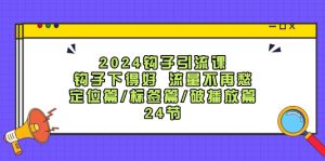 2024钩子引流课：钩子下得好流量不再愁，定位篇/标签篇/破播放篇/24节-大象聊项目