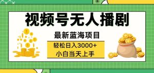 （12128期）视频号无人播剧，轻松日入3000+，最新蓝海项目，拉爆流量收益，多种变…-大象聊项目