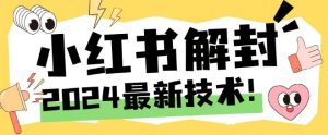 2024最新小红书账号封禁解封方法，无限释放手机号-大象聊项目