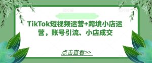 TikTok短视频运营+跨境小店运营，账号引流、小店成交-大象聊项目