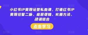 小红书IP变现运营私教课,打通红书IP变现任督二脉,底层逻辑、实操方法、战训结合-大象聊项目