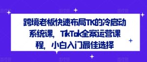 跨境老板快速布局TK的冷启动系统课，TikTok全案运营课程，小白入门最佳选择-大象聊项目